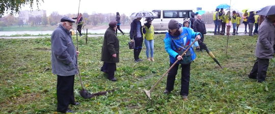 Приняли участие в акции «Аллея Славы»